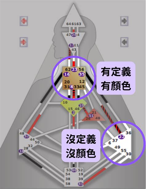 人形圖|人類圖怎麼看？看懂自己人類圖設計的完整大補帖！